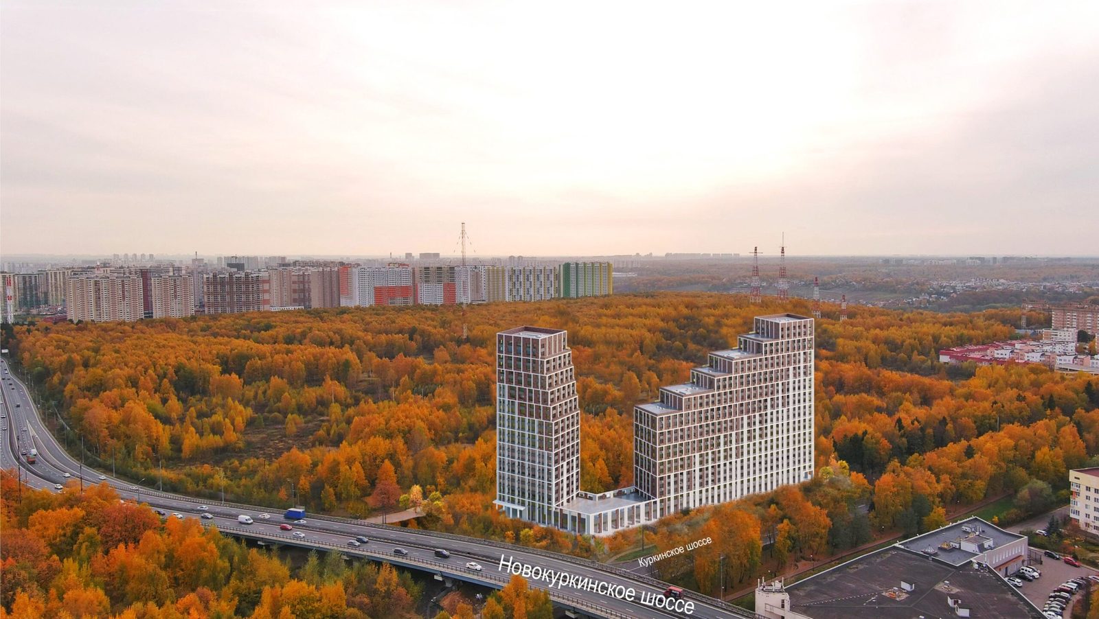 Куркино 15
