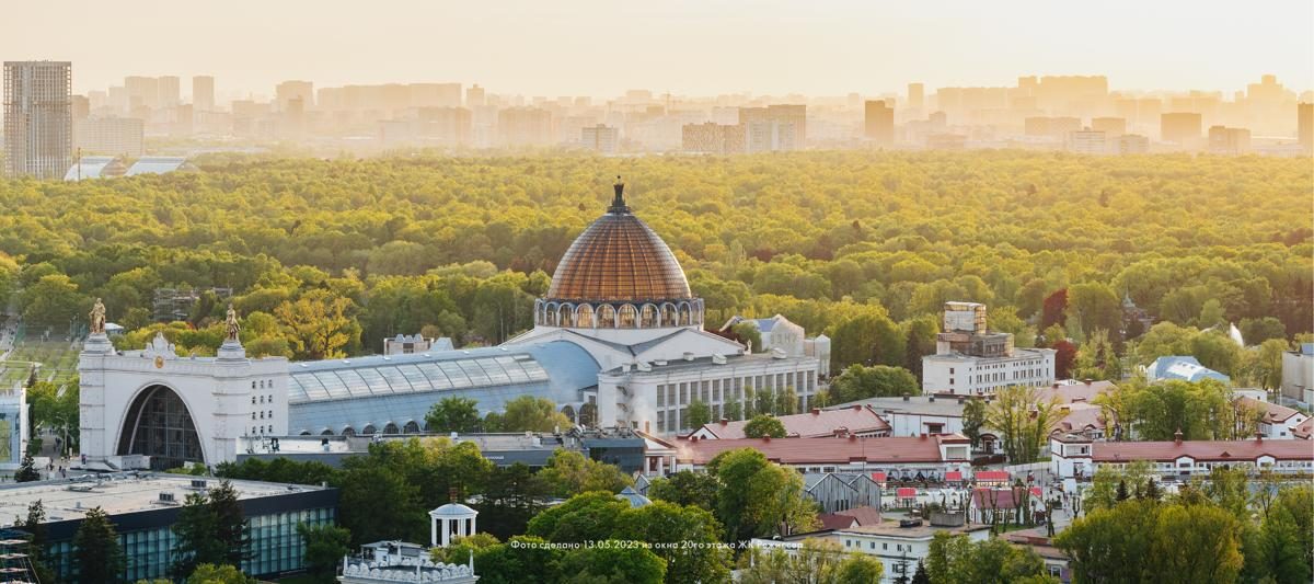 Режиссер