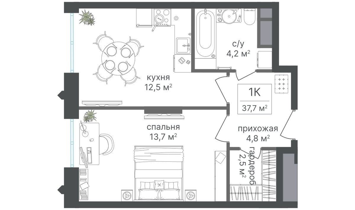 Планировка 37.5 м²