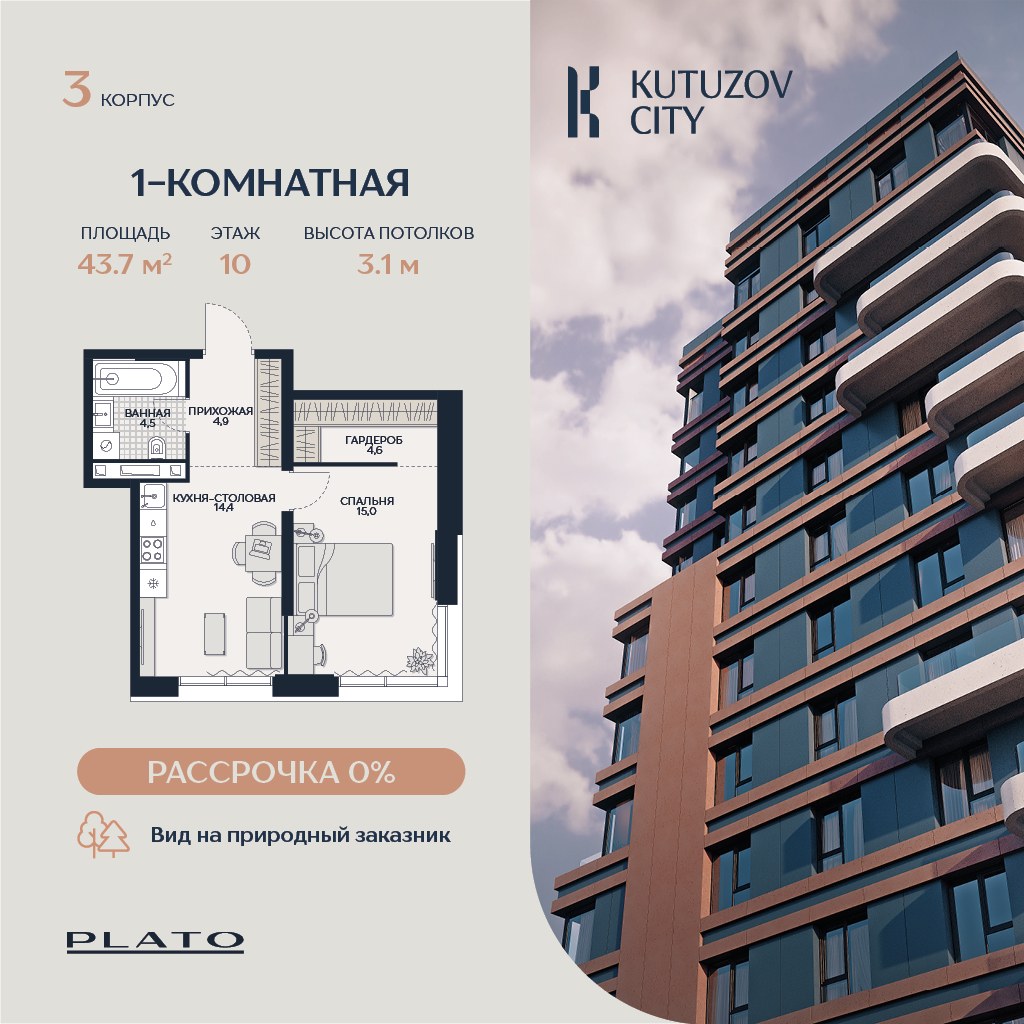 Планировка 43.7 м²