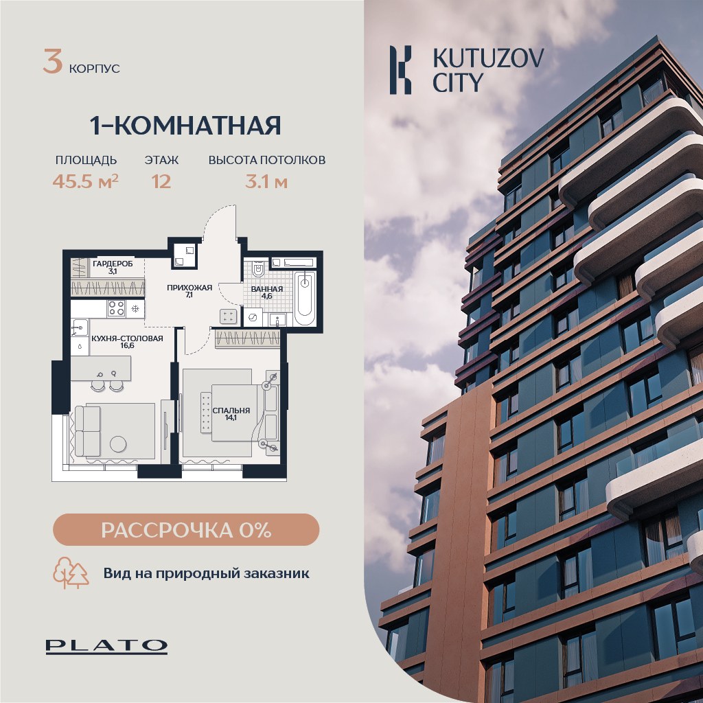 Планировка 45.5 м²