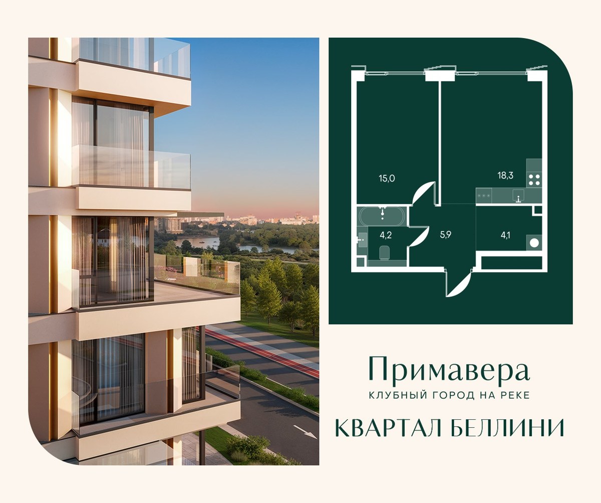 Планировка 47.5 м²