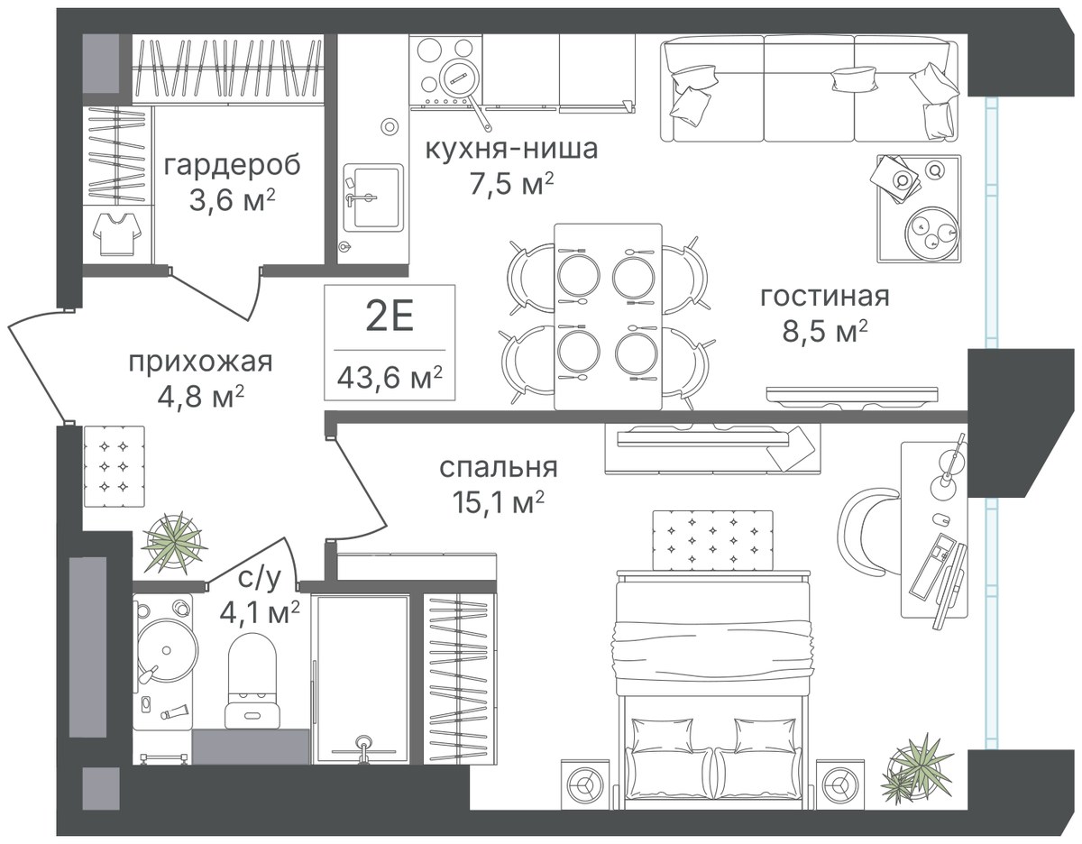 Планировка 43.6 м²