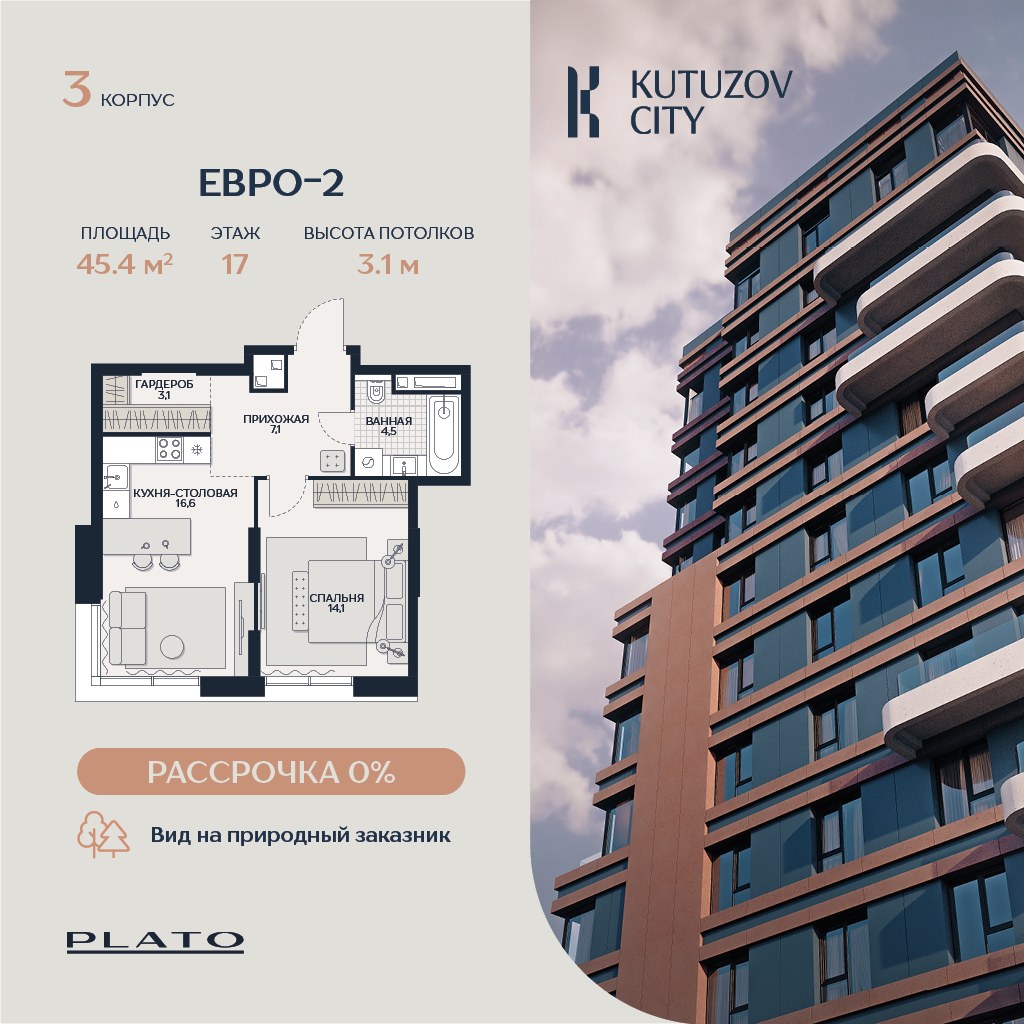 Планировка 45.4 м²