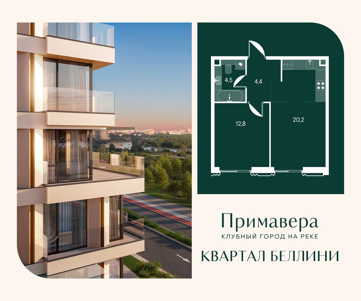 Планировка 41.9 м²