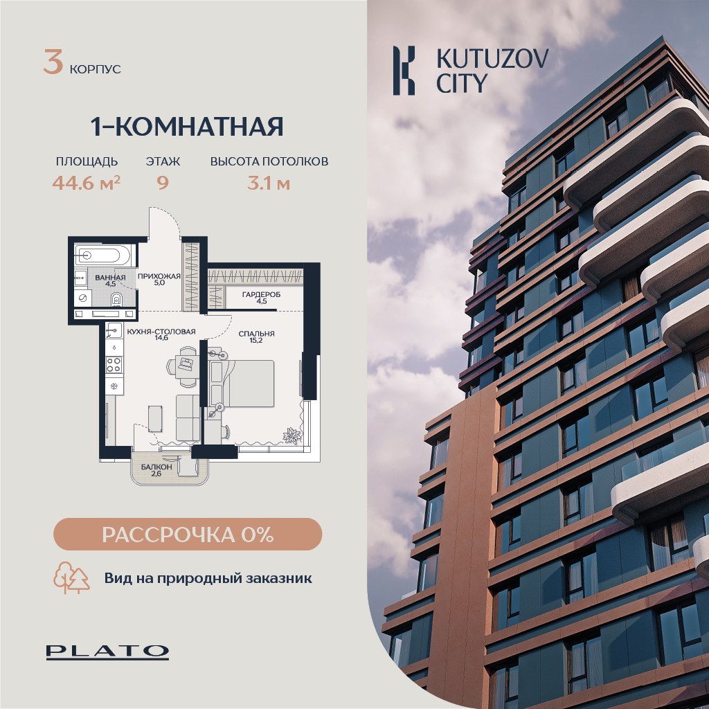 Планировка 44.6 м²