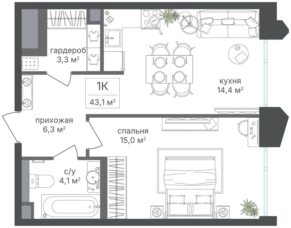 Планировка 43.1 м²