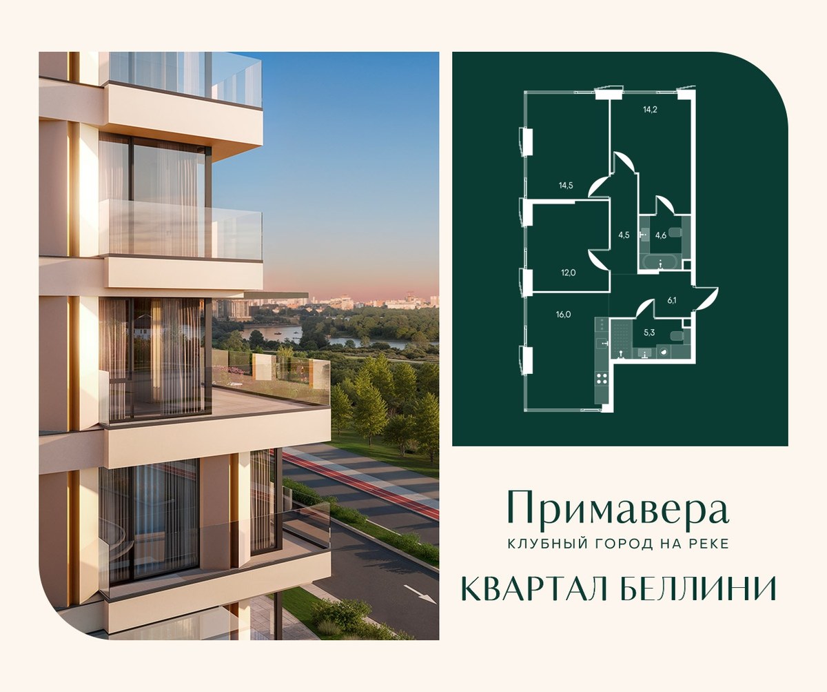 Планировка 77.2 м²