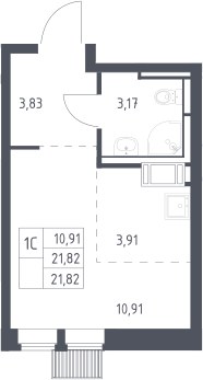 Планировка 21.82 м²
