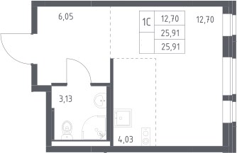 Планировка 25.91 м²