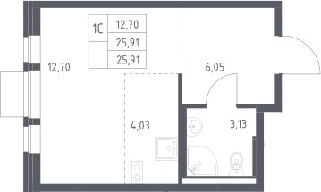 Планировка 25.91 м²