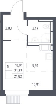 Планировка 21.82 м²