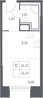 Планировка 24.51 м²