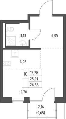 Планировка 26.56 м²